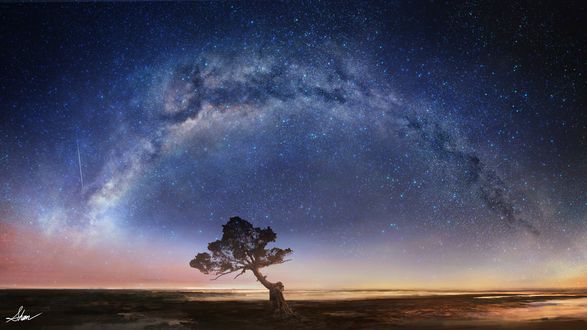 Обои на рабочий стол Дерево на фоне млечного пути на ночном небе