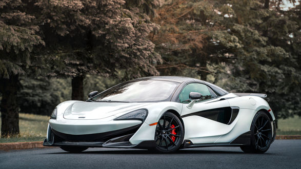 Обои на рабочий стол Суперкар белого цвета McLaren 600LT стоит на дороге в парке
