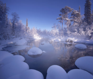 Обои на рабочий стол Snowy Forest / снежный лес с рекой, Кольский полуостров. Фотограф Aleksey R