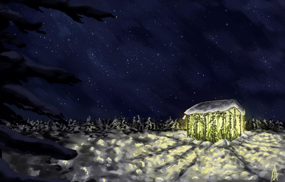 Обои для рабочего стола Домик на снегу под ночным небом, by Akabeille
