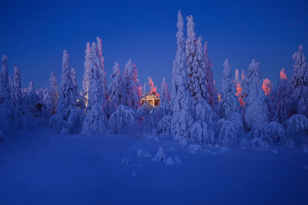 Обои для рабочего стола Избушка в заснеженном лесу ночью, Lapland, Finland / Лапландия, Финляндия, фотограф Базанов Андрей