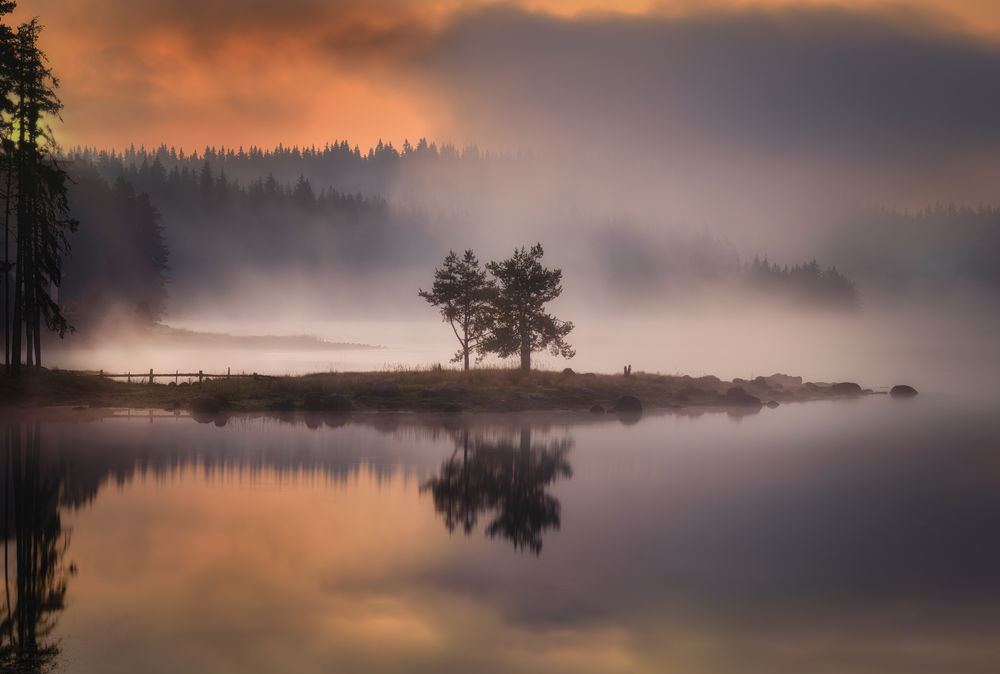 Обои для рабочего стола Островок с деревьями в тумане. Фотограф Sviretsov Radoslav