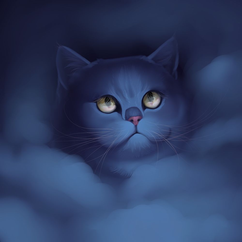Обои для рабочего стола Голубой кот, by Followthepaws