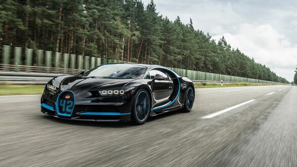 Обои на рабочий стол Гиперкар Bugatti Chiron мчится вдоль хвойного леса