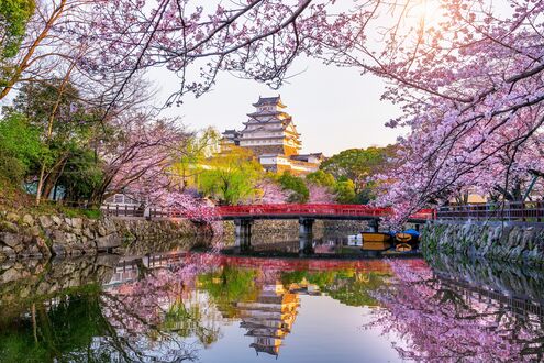 Обои на рабочий стол Himeji castle / замок Химэдзи / замок Белой Цапли, среди цветущей сакуры вдоль канала с мостом, Hyogo Prefecture, Japan / Япония