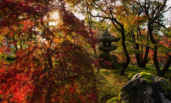 Обои на рабочий стол National Park / Национальный парк осенью, Yamagata Prefecture, Japan / Япония