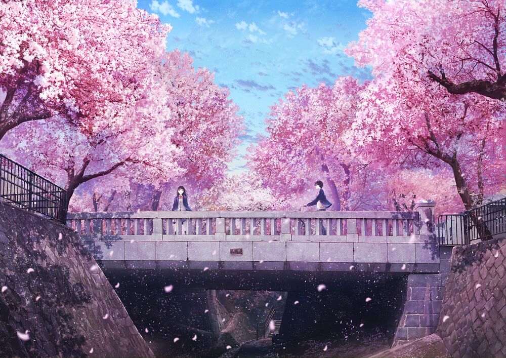 Обои для рабочего стола Парень на велосипеде едет на свидание с девушкой стоящей на мосту, по обе стороны которого цветет сакура, by Anyotete