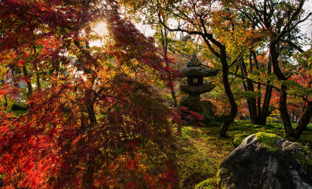 Обои для рабочего стола National Park / Национальный парк осенью, Yamagata Prefecture, Japan / Япония