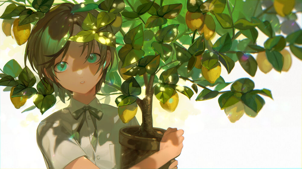 Обои для рабочего стола Зеленоглазая девушка держит в руках горшок с лимонным деревом, оригинальный аниме персонаж by Oystermiao