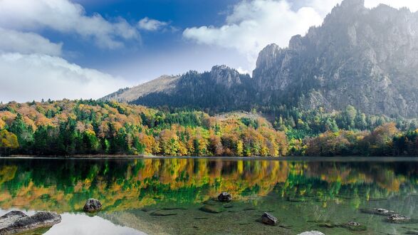 Обои на рабочий стол Лес у озера Langbathsee, Austria / Лангбатзее, Австрия у подножья гор