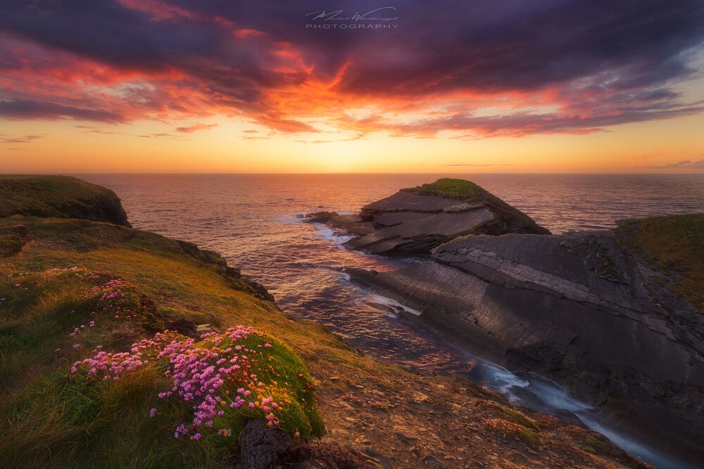 Обои для рабочего стола Весна в Kilkee Cliffs, Co. Clare, Ireland / Килки Клиффс, графство Клэр, Ирландия, фотограф Włodarczyk Michał