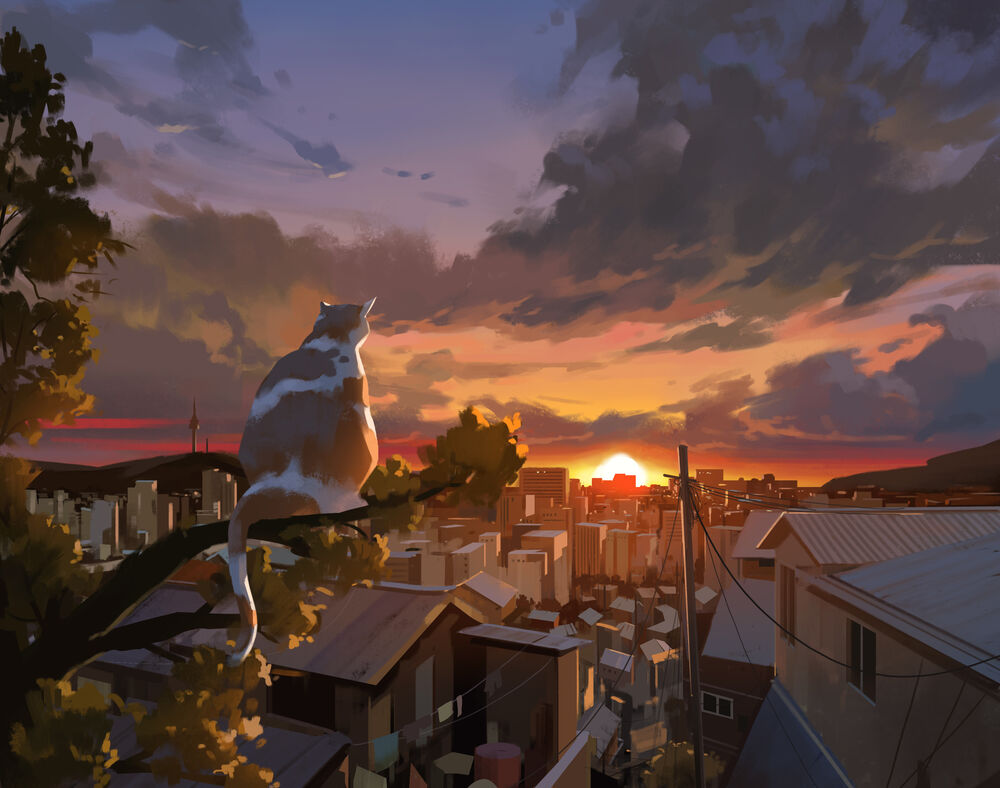 Обои для рабочего стола Кошка на ветке дерева во время заката, by Sin jong hun