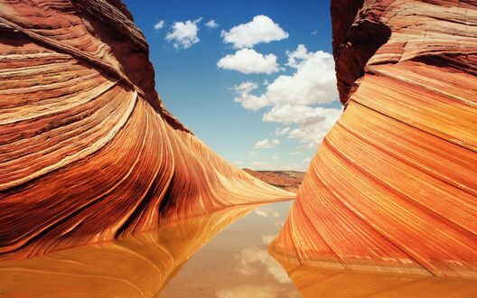 Обои на рабочий стол Река среди красного склона Coyote Buttes / Койот-Бют, Северная Америка, плато Колорадо