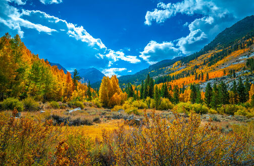 Обои на рабочий стол Блестящий осенний день в Bishop Creek High Sierra, California / Бишоп Крик Хай Сьерра, Калифорнии