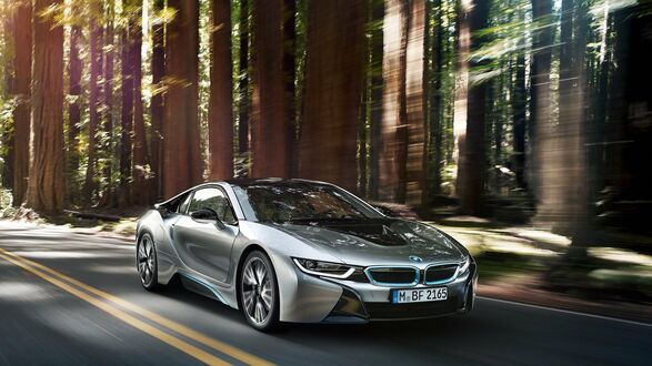 Обои на рабочий стол Автомобиль BMW мчится по лесной дороге