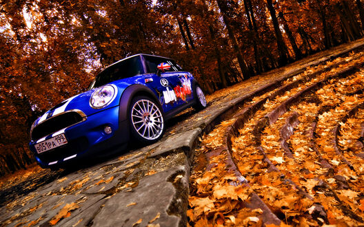 Обои на рабочий стол Синий с белой крышей MINI Cooper / Мини Купер на фоне осеннего леса на лестнице