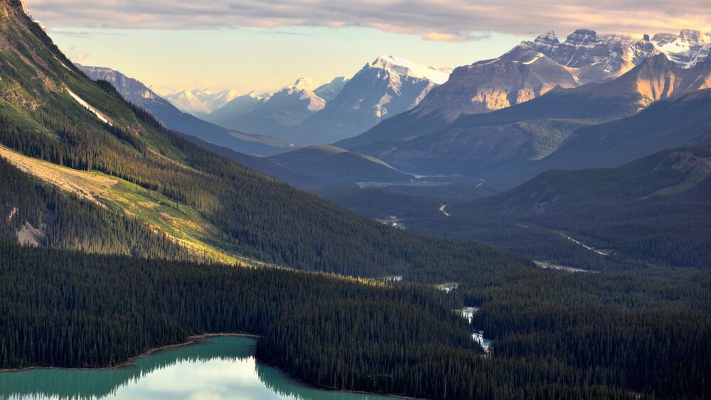 Обои для рабочего стола Голубое лесное озеро Пейто / Peyto Lake в долине национального парка Банф / Banff National Park, фотограф Mark Stevens