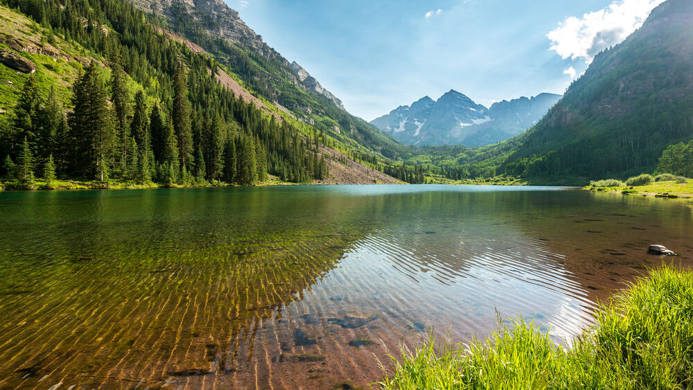 Сфотографировать лань на фоне озера