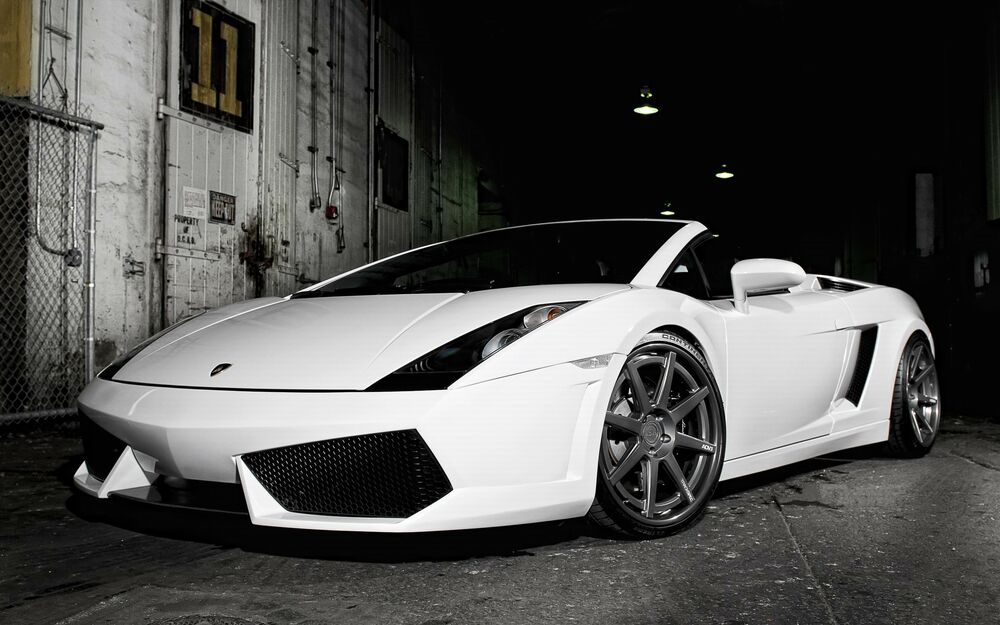 Обои для рабочего стола Белый спортивный автомобиль Lamborghini Gallardo LP560-4 / Ламборгини Галлардо LP560-4 на улице