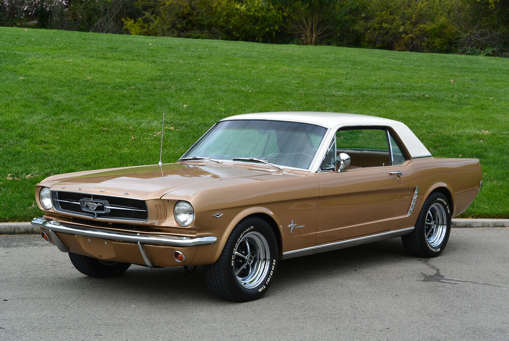 Обои для рабочего стола Ford Mustang coupe 1965 на фоне зеленой травы