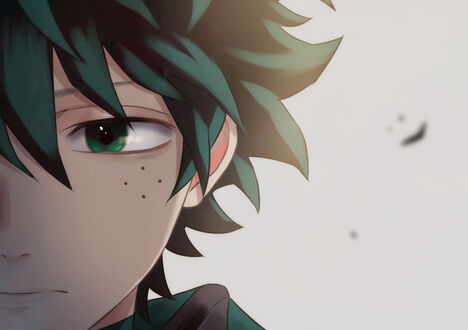 Обои на рабочий стол Идзуку Мидория / Midoriya Izuku из аниме Моя геройская академия / My Hero Academia / Boku no Hero Academia