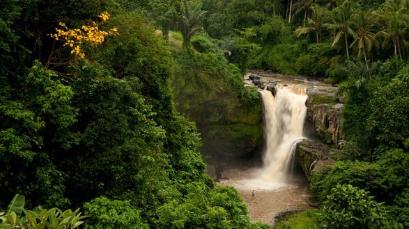 Обои на рабочий стол Водопад Тегенунган на Бали, Индонезия
