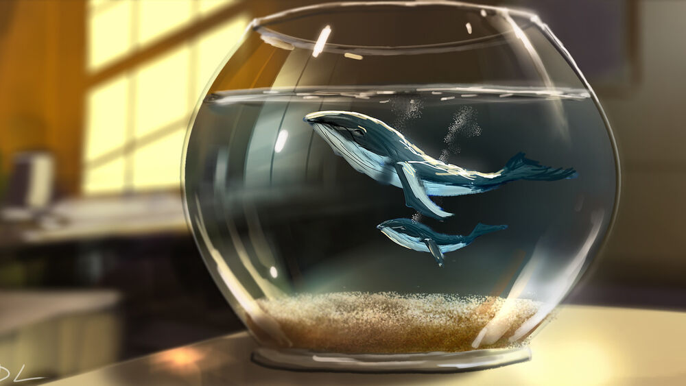 Обои для рабочего стола Киты в аквариуме, концепт-художник Denis Loebner