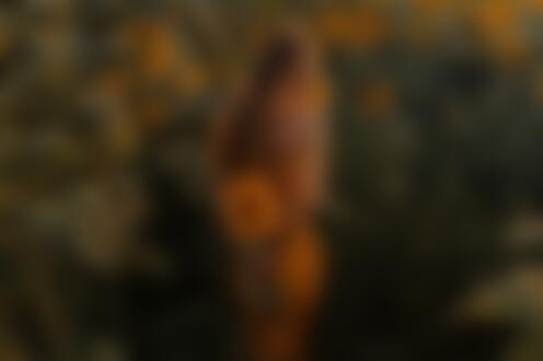 Обои на рабочий стол Девушка с длинными волосами стоит среди цветущего поля с подсолнухом за спиной, фотограф Линев Евгений