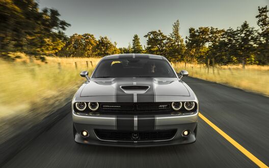 Обои на рабочий стол Dodge Challenger на пригородной дороге