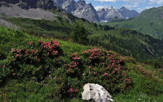 Обои на рабочий стол Зеленый горные склоны Karwendel, Tirol, Austria / Карвендель, Тироль, Австрия