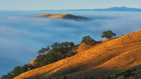 Обои на рабочий стол Восход солнца в низком тумане в San Jose Mountains / горах Сан-Хосе, фотограф Jay Huang
