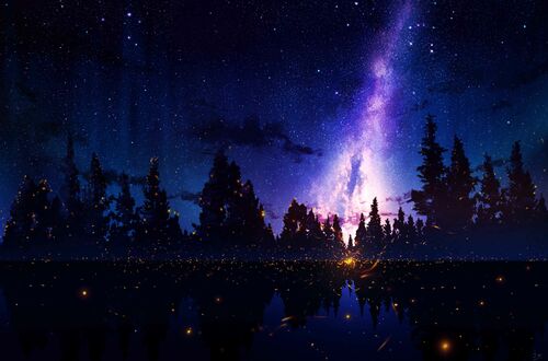 Обои на рабочий стол Ели на берегу озера, by JW