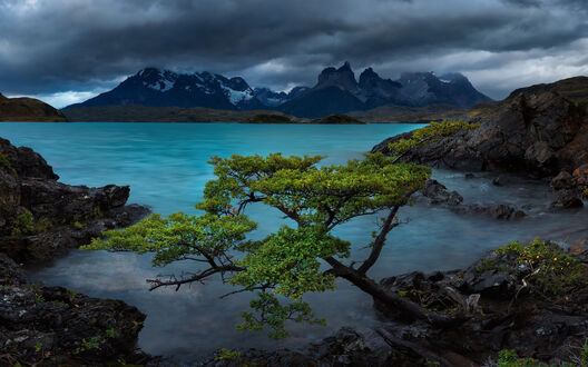 Обои на рабочий стол Озеро Pehoe, Torres del Paine National Park / Пахео Торрес-дель-Пайне – национальный парк Чили, расположенный в области Патагония, фотограф Bruce Hood