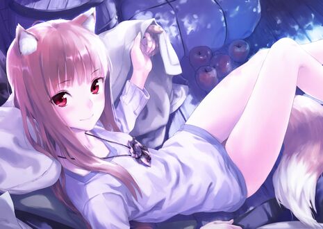 Обои на рабочий стол Хоро / Holo из аниме Волчица и пряности / Spice and Wolf, art by Kawakami Rokkaku