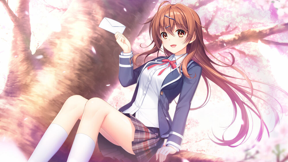 Обои для рабочего стола Ayase Aisa в школьной форме сидит на ветви цветущей сакуры держа в руке конверт, персонаж из игры - визуальной новеллы Sousaku Kanojo no Renai Koushiki