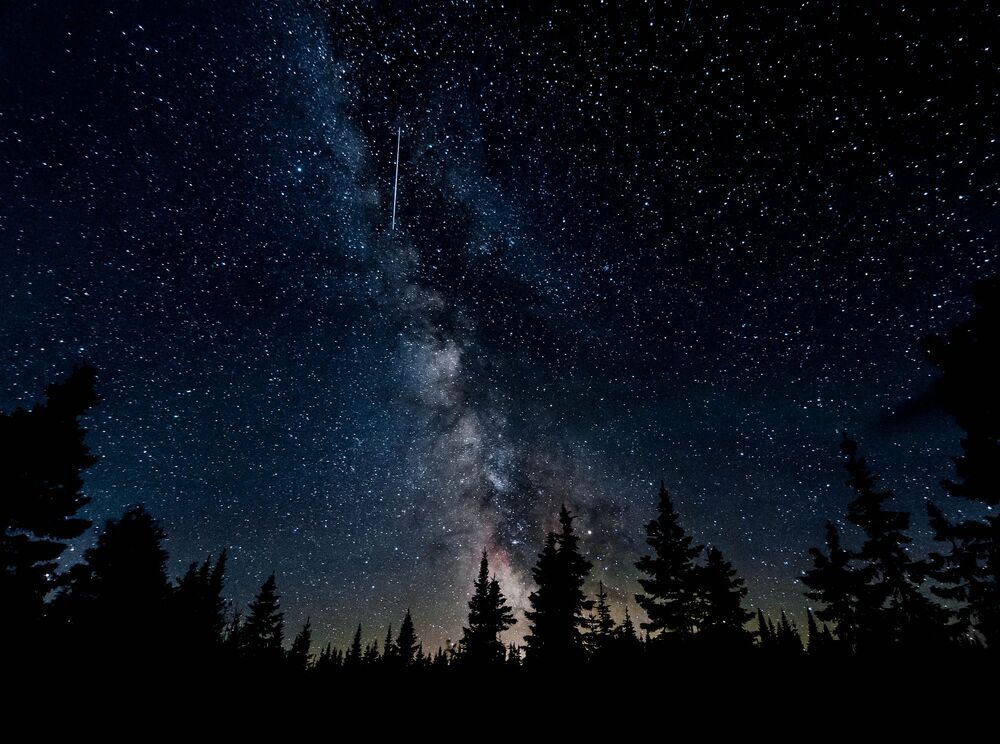 Обои для рабочего стола Млечный путь на ночном небе над верхушками деревьев, фотограф Aurel-Breizh