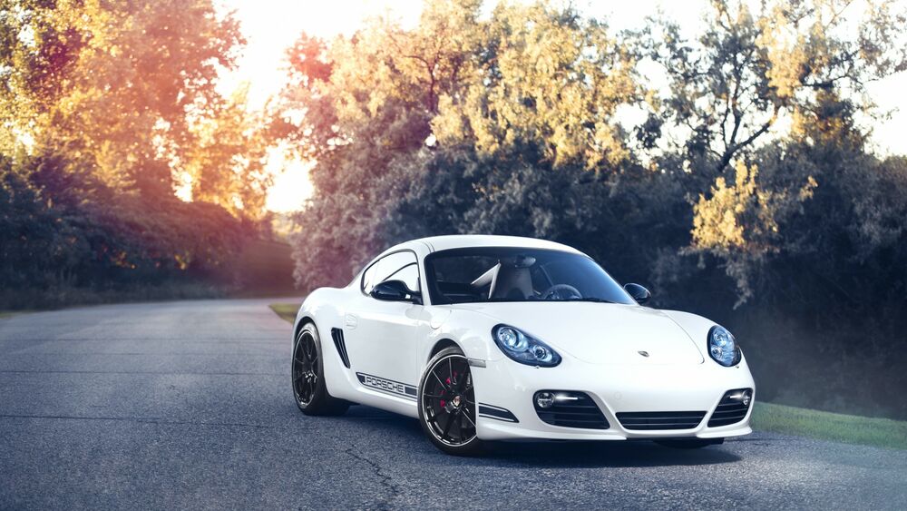 Обои для рабочего стола Белый Porsche 911 на лесной дороге
