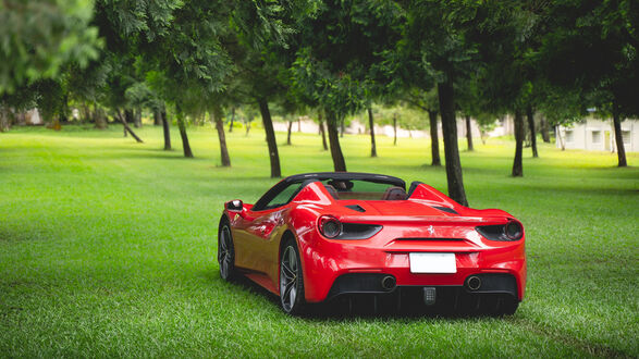 Обои на рабочий стол Ferrari 488 spider красная на газоне среди деревьев сзади