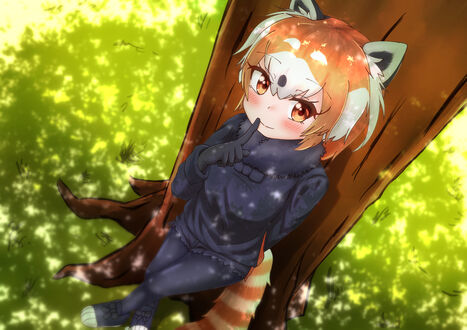 Обои на рабочий стол Lesser Panda / Красная панда из игры Друзья-зверушки / Kemono Friends стоит, прислонившись к дереву
