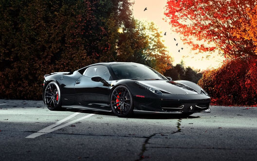 Обои на рабочий стол Ferrari 458 Italia - Matte Black стоит на дороге