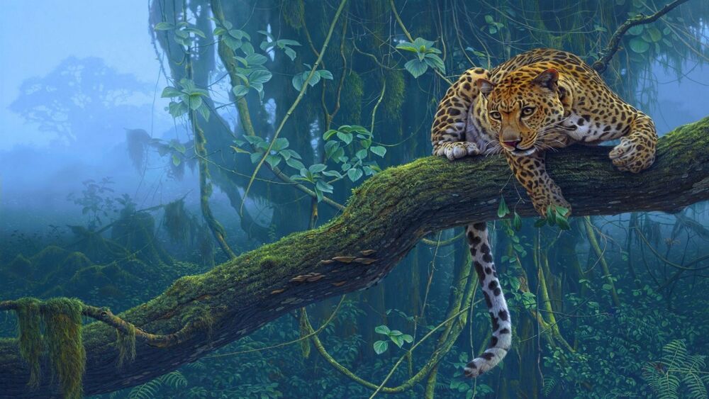 Обои для рабочего стола Леопард сидит на дереве в джунглях