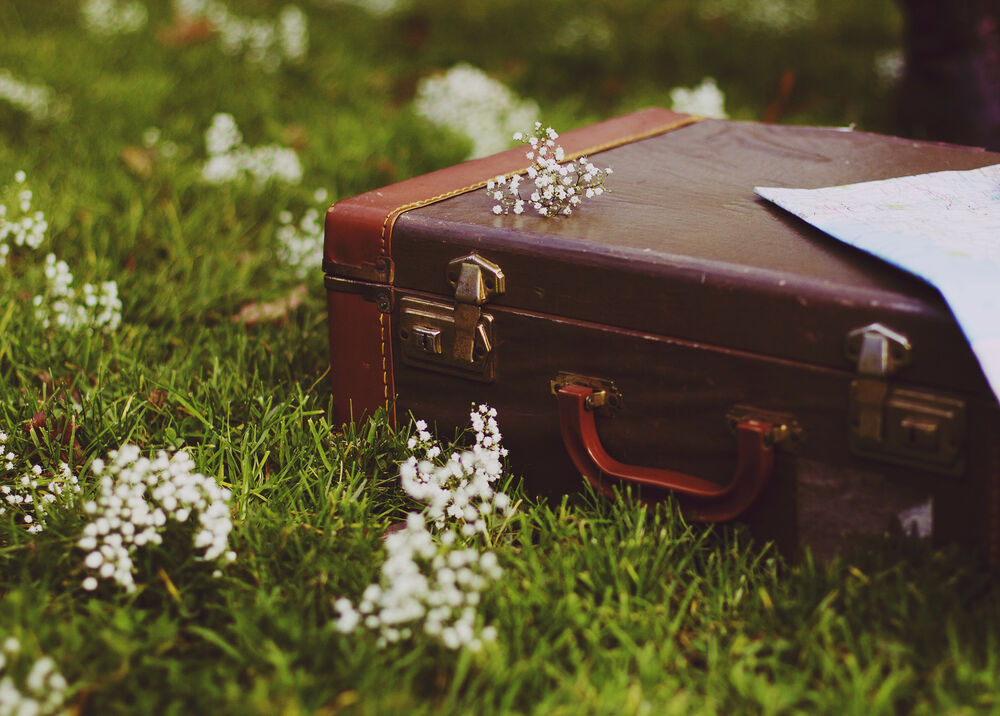 Чемодан с книгами картинки