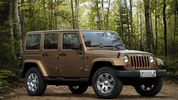 Обои на рабочий стол Jeep Wrangler стоит поперек лесной дороги
