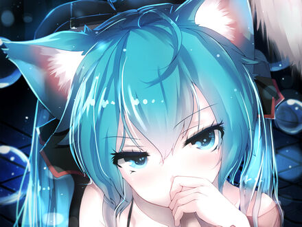 Обои на рабочий стол Vocaloid / Вокалоид Hatsune Miku / Хатсуне Мику / Мику Хацунэ с кошачьими ушками
