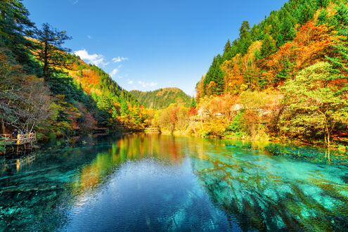 Обои на рабочий стол Вид на Multicolored Lake / разноцветное озеро среди лесистых гор в заповеднике Цзючжайгоу, национальный парк долины Цзючжай, Китай / Jiuzhai Valley National Park, China