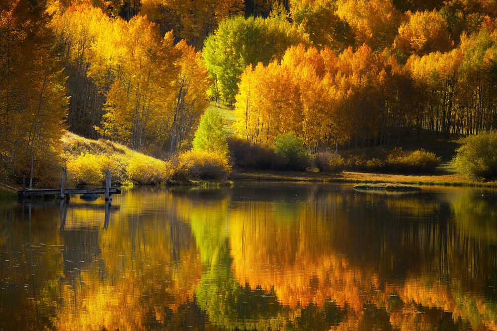 Обои для рабочего стола Красивый золотой свет на золотых деревьях у озера в Колорадо, фотограф Chen Su