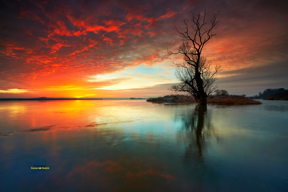 Обои для рабочего стола Одинокое дерево в воде на фоне неба на закате, фотограф Hudzik Roman