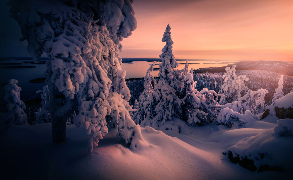 Обои для рабочего стола Зимний рассвет на фоне озера в горах, Koli National Park, Finland / Национальный парк Коли, Финляндия, фотограф Ilari Tuupanen