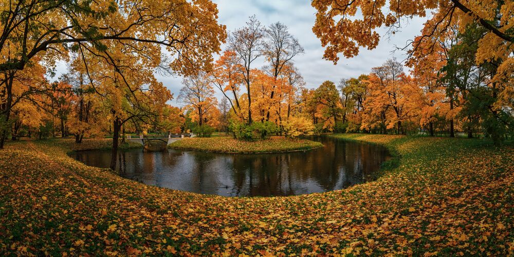 Обои для рабочего стола Осень в Царском селе, Александровский парк, by mulden