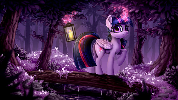 Обои Twilight Sparkle / Сумеречная Искорка, персонож из мультсериала My Little Pony: Friendship is Magic / Мой маленький пони: Дружба – это чудо